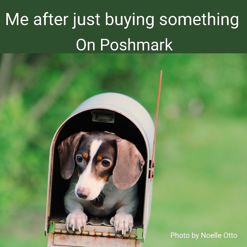 Fast shipping!